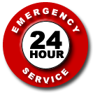 Emergency Pest Control Service