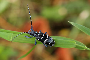 Front Range Pest Control of Fort Collins