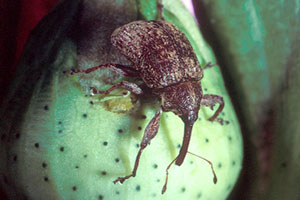 Front Range Pest Control of Fort Collins